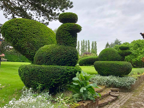 Gardener - Professional Gardening, Hedge Cutting, Topiary & Pruning Specialist - RHS Wisley trained, Wantage Oxfordshire